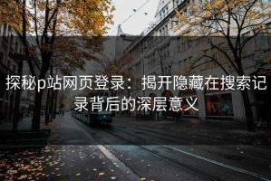 探秘p站网页登录：揭开隐藏在搜索记录背后的深层意义