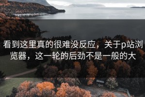 看到这里真的很难没反应，关于p站浏览器，这一轮的后劲不是一般的大