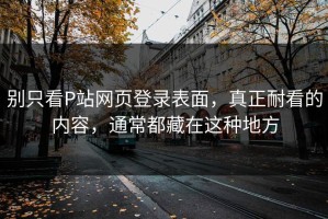 别只看P站网页登录表面，真正耐看的内容，通常都藏在这种地方
