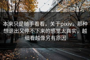 本来只是随手看看，关于pixiv，那种想退出又停不下来的感觉太真实，越细看越像另有原因