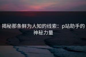 揭秘那条鲜为人知的线索：p站助手的神秘力量
