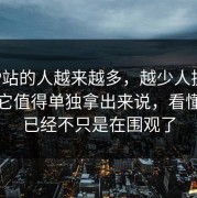 围着P站的人越来越多，越少人提，越说明它值得单独拿出来说，看懂的人已经不只是在围观了