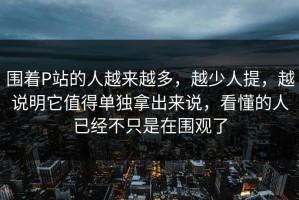 围着P站的人越来越多，越少人提，越说明它值得单独拿出来说，看懂的人已经不只是在围观了