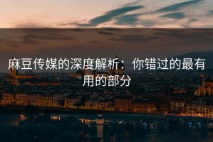 麻豆传媒的深度解析：你错过的最有用的部分