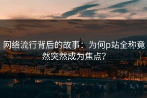 网络流行背后的故事：为何p站全称竟然突然成为焦点？