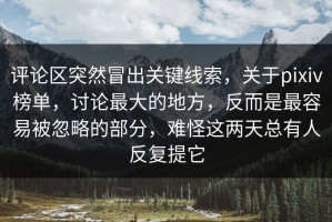 评论区突然冒出关键线索，关于pixiv榜单，讨论最大的地方，反而是最容易被忽略的部分，难怪这两天总有人反复提它