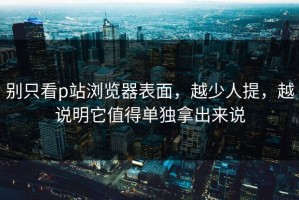别只看p站浏览器表面，越少人提，越说明它值得单独拿出来说