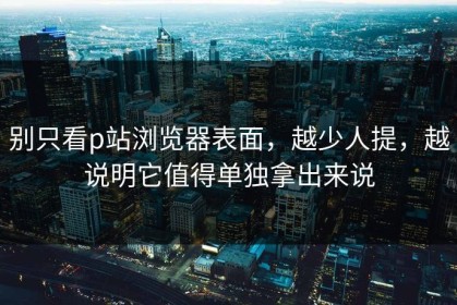 别只看p站浏览器表面，越少人提，越说明它值得单独拿出来说