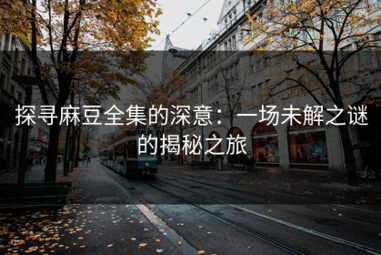 探寻麻豆全集的深意：一场未解之谜的揭秘之旅