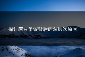 探讨麻豆争议背后的深层次原因