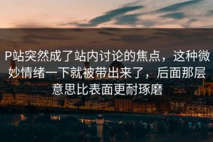 P站突然成了站内讨论的焦点，这种微妙情绪一下就被带出来了，后面那层意思比表面更耐琢磨