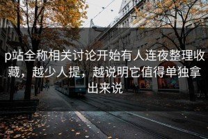 p站全称相关讨论开始有人连夜整理收藏，越少人提，越说明它值得单独拿出来说