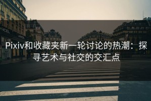 Pixiv和收藏夹新一轮讨论的热潮：探寻艺术与社交的交汇点