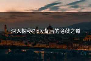 深入探秘Pixiv背后的隐藏之道