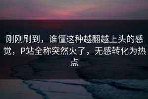 刚刚刷到，谁懂这种越翻越上头的感觉，P站全称突然火了，无感转化为热点