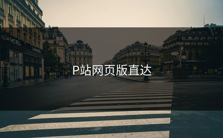 P站网页版直达