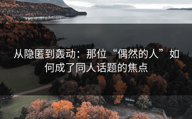 从隐匿到轰动:那位“偶然的人”如何成了同人话题的焦点 从隐匿到轰动:那位“偶然的人”如何成了同人话题的焦点
