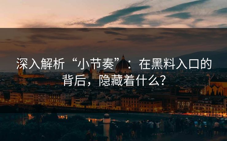 深入解析“小节奏”：在黑料入口的背后，隐藏着什么？