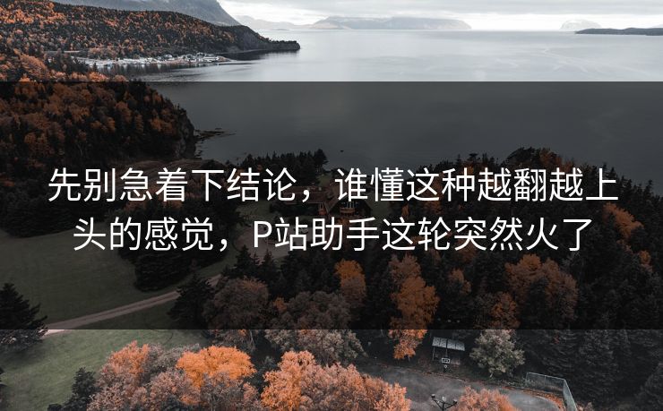 先别急着下结论,谁懂这种越翻越上头的感觉,P站助手这轮突然火了 先别急着下结论,谁懂这种越翻越上头的感觉,P站助手这轮突然火了