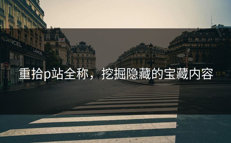 重拾p站全称，挖掘隐藏的宝藏内容