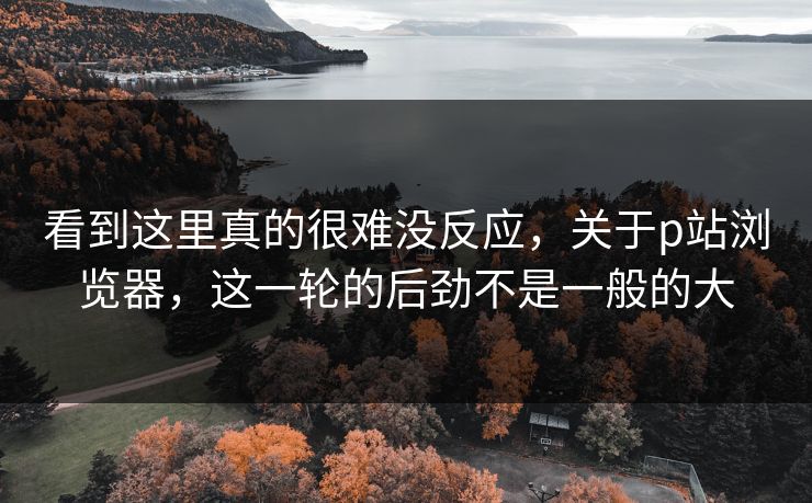看到这里真的很难没反应，关于p站浏览器，这一轮的后劲不是一般的大