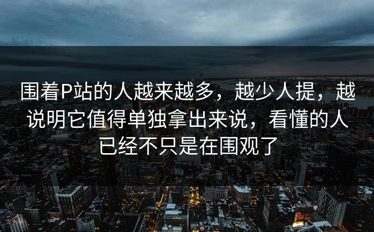 围着P站的人越来越多，越少人提，越说明它值得单独拿出来说，看懂的人已经不只是在围观了