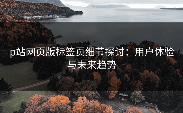 p站网页版标签页细节探讨：用户体验与未来趋势